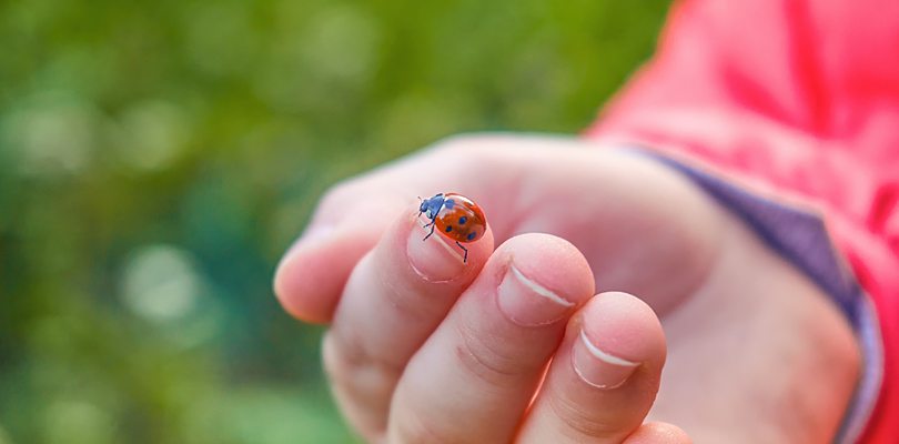 Kinder- und Jugendhilfe West