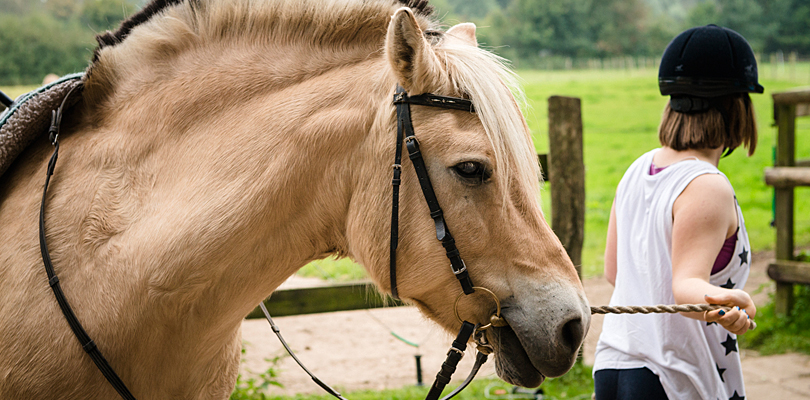 Heilpädagogisches Reiten