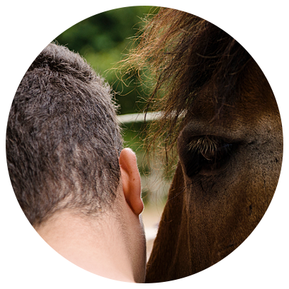 Reitprojekt